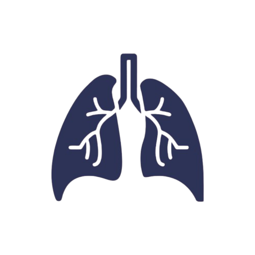 Lungs